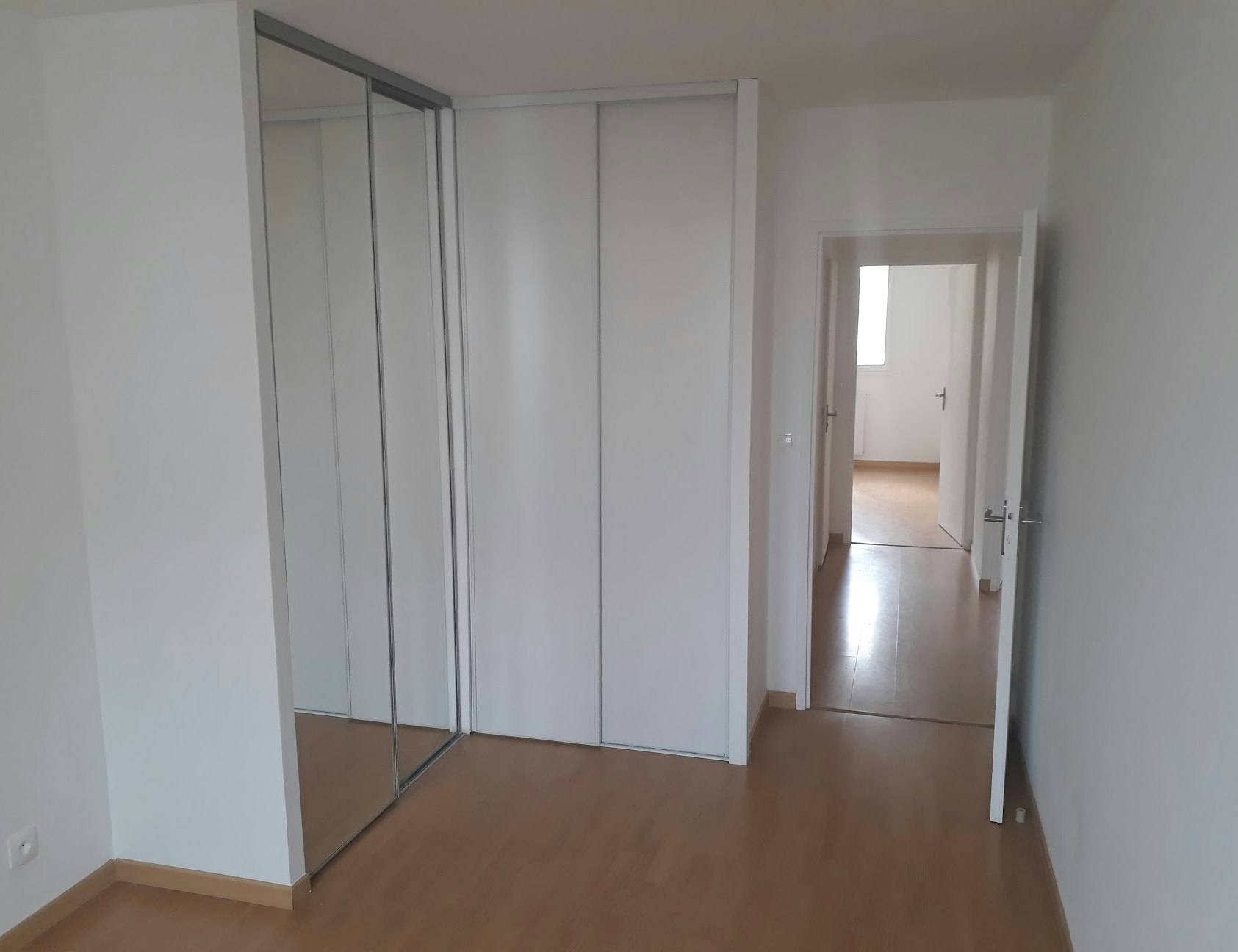 photo Placard Acorus